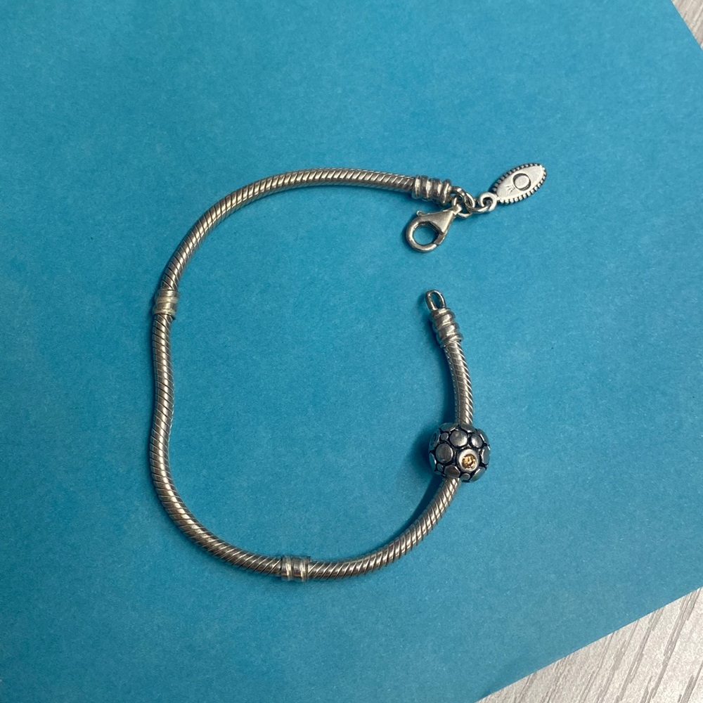 Pandora Silver Bracelet with Floral Charm